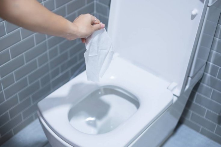 Can Flushable Wipes Damage My Plumbing?